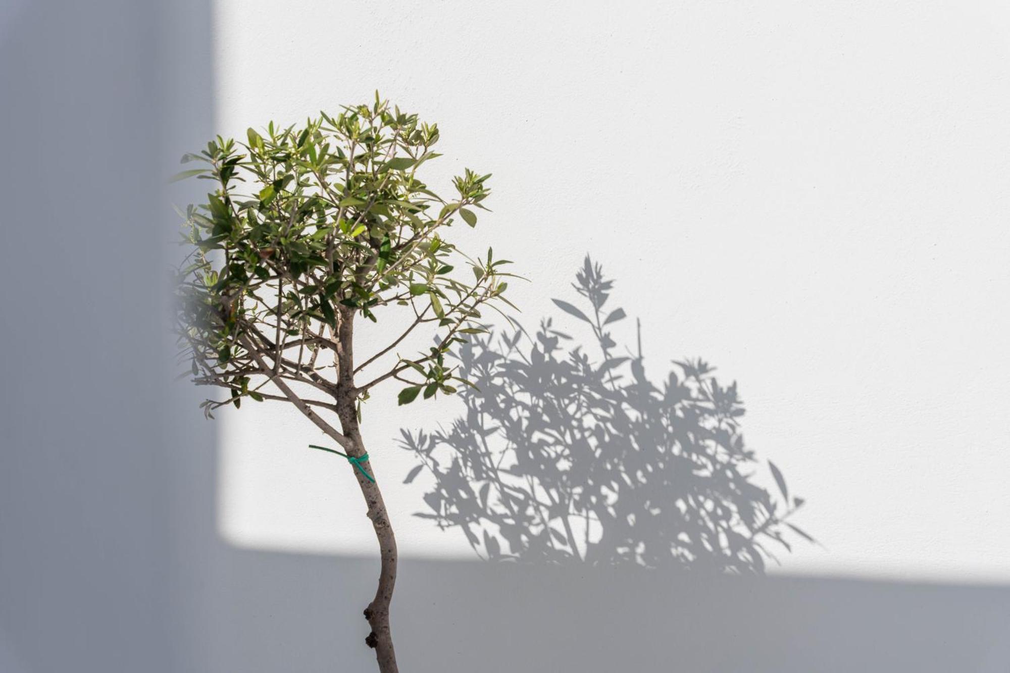 Cycladic Suites & Spa Fira  Extérieur photo